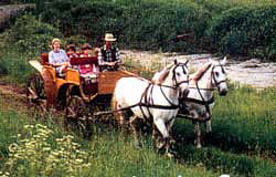 Kutschfahrten