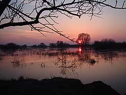 Elbe Floodplains (Photo: Ralf Mielke)
